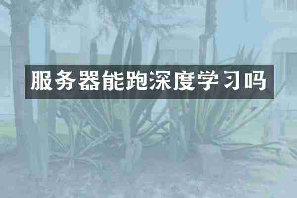 服务器能跑深度学习吗