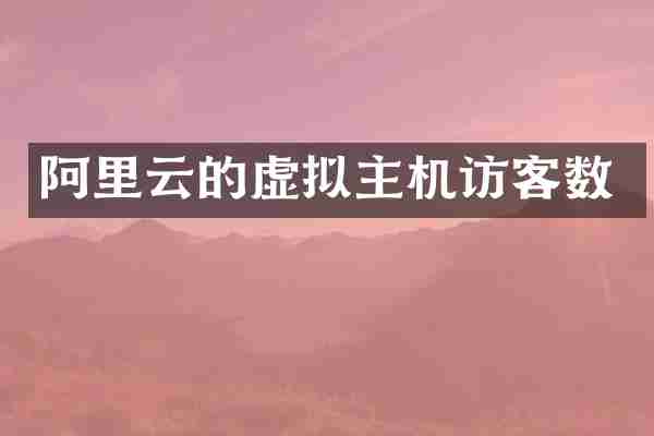 阿里云的虚拟主机访客数