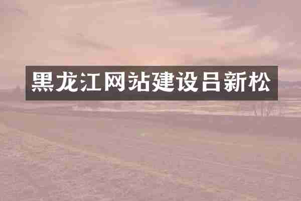 黑龙江网站建设吕新松