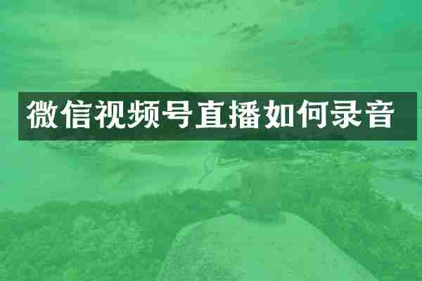 微信视频号直播如何录音