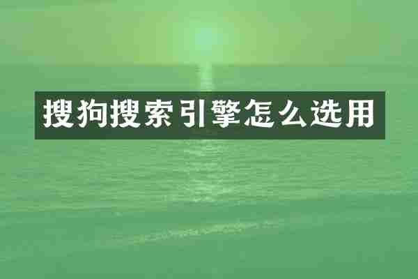 搜狗搜索引擎怎么选用