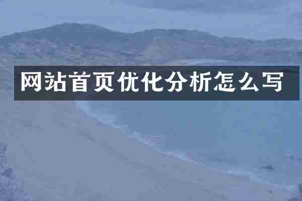 网站首页优化分析怎么写