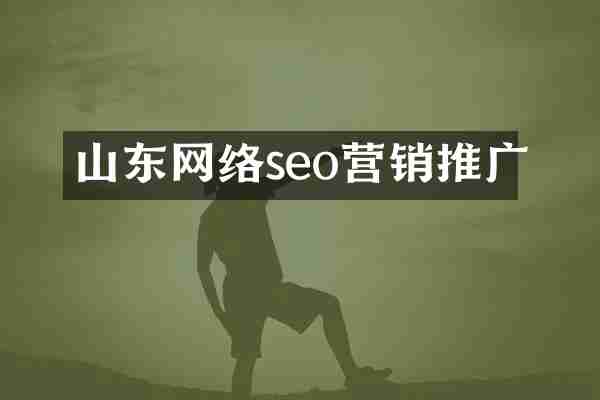 山东网络seo营销推广