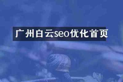 广州白云seo优化首页