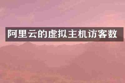 阿里云的虚拟主机访客数