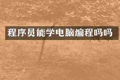 程序员能学电脑编程吗吗
