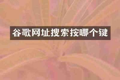 谷歌网址搜索按哪个键