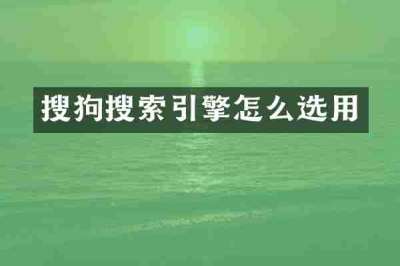 搜狗搜索引擎怎么选用