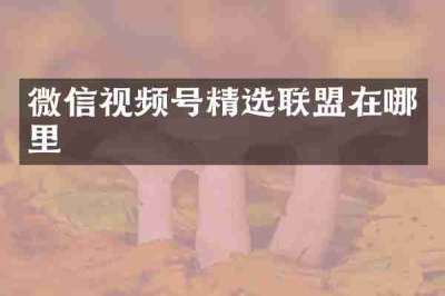 微信视频号精选联盟在哪里