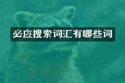 必应搜索词汇有哪些词