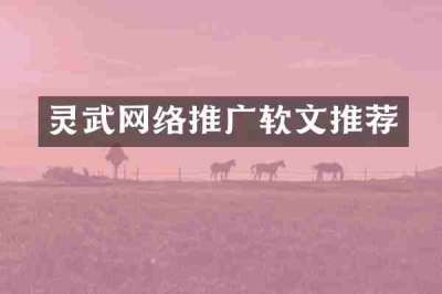 灵武网络推广软文推荐