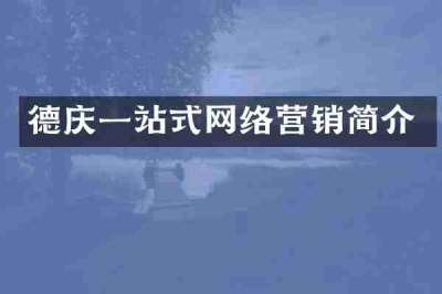 德庆一站式网络营销简介