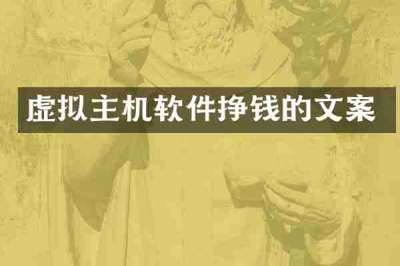 虚拟主机软件挣钱的文案