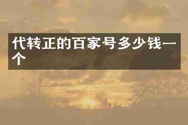 代转正的百家号多少钱一个