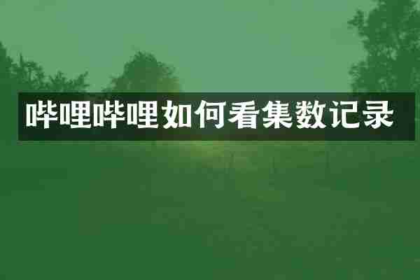 哔哩哔哩如何看集数记录