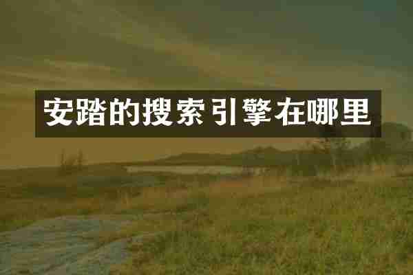 安踏的搜索引擎在哪里