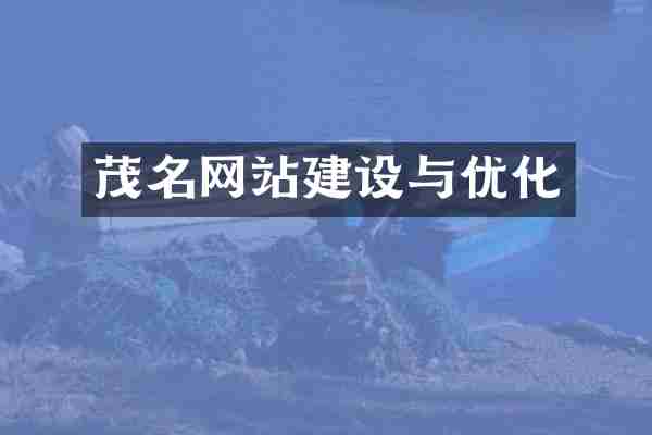 茂名网站建设与优化