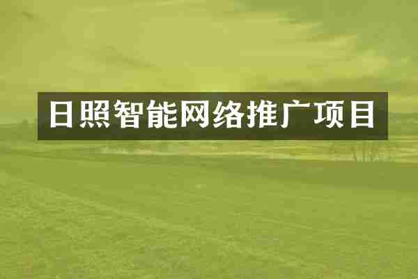 日照智能网络推广项目