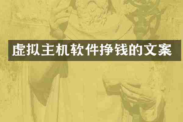 虚拟主机软件挣钱的文案