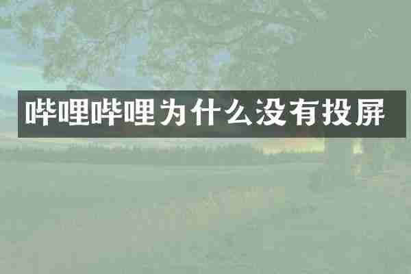 哔哩哔哩为什么没有投屏