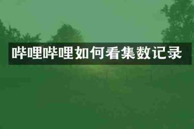 哔哩哔哩如何看集数记录
