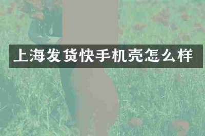 上海发货快手机壳怎么样