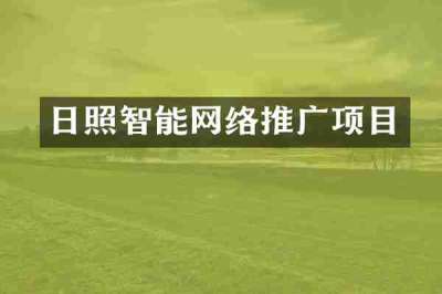 日照智能网络推广项目
