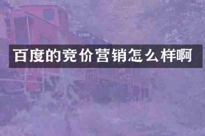 百度的竞价营销怎么样啊