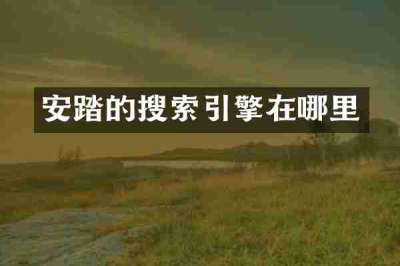 安踏的搜索引擎在哪里