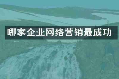 哪家企业网络营销最成功