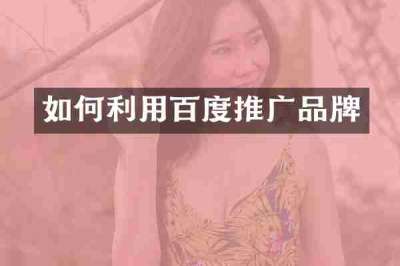 如何利用百度推广品牌