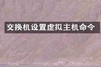 交换机设置虚拟主机命令