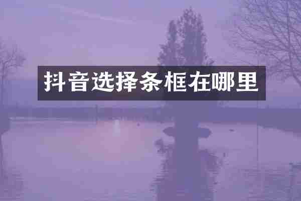 抖音选择条框在哪里