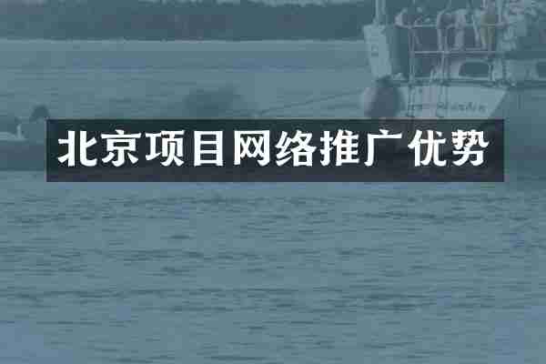 北京项目网络推广优势