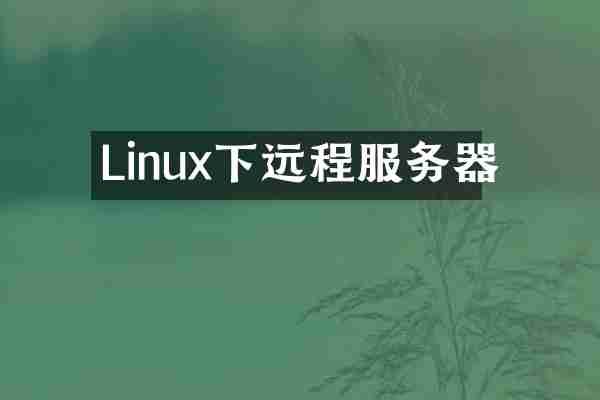 Linux下远程服务器