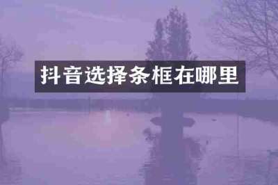 抖音选择条框在哪里