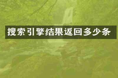 搜索引擎结果返回多少条