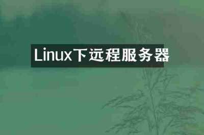 Linux下远程服务器