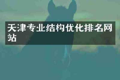 天津专业结构优化排名网站