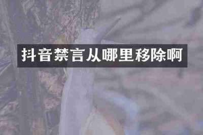 抖音禁言从哪里移除啊