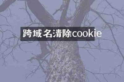 跨域名清除cookie