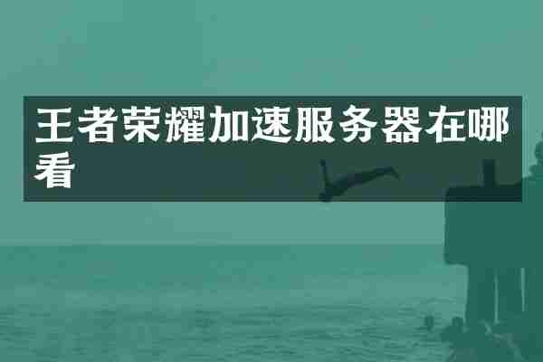 王者荣耀加速服务器在哪看