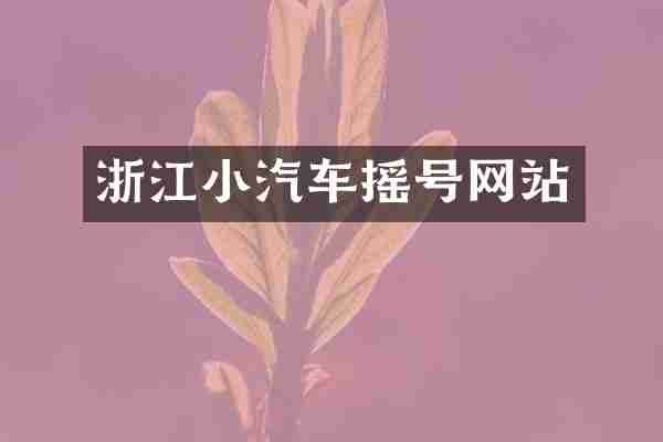 浙江小汽车摇号网站