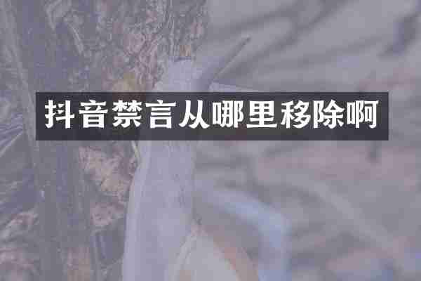 抖音禁言从哪里移除啊