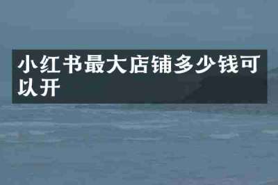小红书最大店铺多少钱可以开