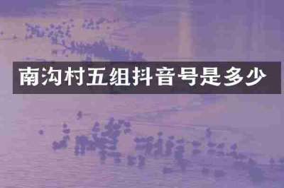 南沟村五组抖音号是多少
