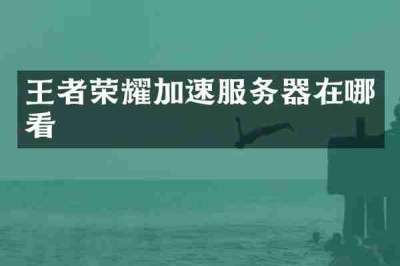 王者荣耀加速服务器在哪看