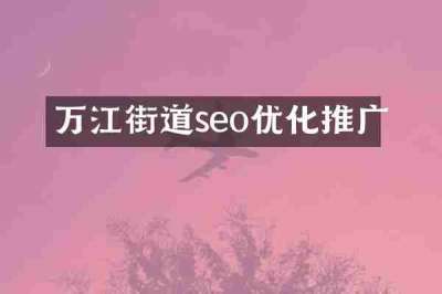 万江街道seo优化推广