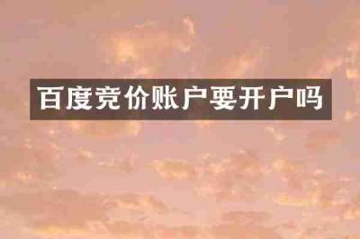 百度竞价账户要开户吗