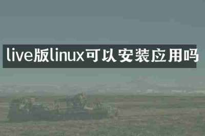 live版linux可以安装应用吗